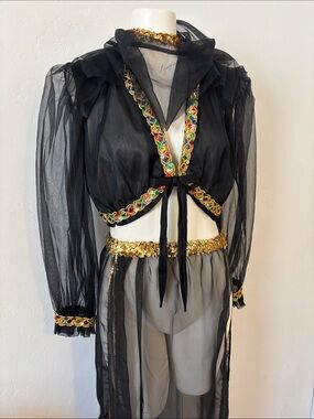 FINAL! 3 Pc Harem Girl Sheer Black and Gold Skirt Set